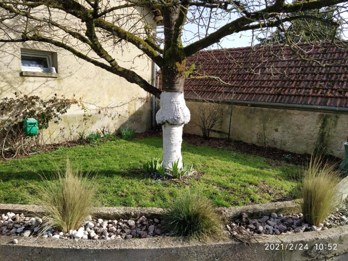 La Ruche Morangis (Marne) Exterior foto